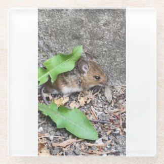 Dessous-de-verre En Verre Cosmère de souris