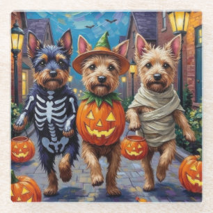 Dessous-de-verre En Verre Costume d'Halloween pour chien Cesky Terrier pour