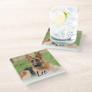 Dessous-de-verre En Verre Créez Votre Propre Photo de Chien Personnalisée av