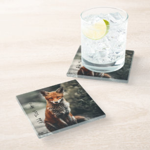 Dessous-de-verre En Verre Curieux Big Red et White Fox assis dans la nature