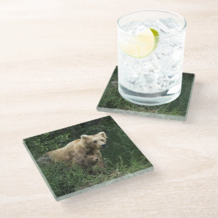 Dessous-de-verre En Verre Cutest Baby Animals Bear Mama Bear & Her Cubs