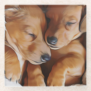 Dessous-de-verre En Verre Dachshund mignon Dachshund Chiots Dachshund Annive
