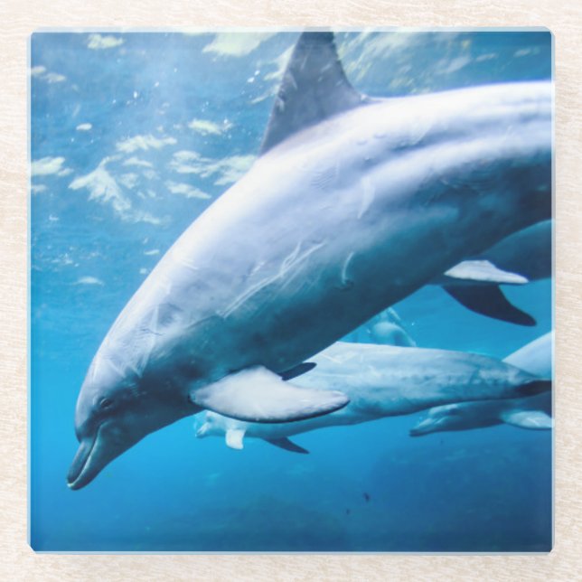 Dessous-de-verre En Verre Dauphins sous-marins (Devant)