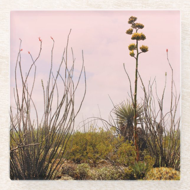 Dessous-de-verre En Verre Desert Dreams Nouveau-Mexique Agave & Ocotillo (Devant)