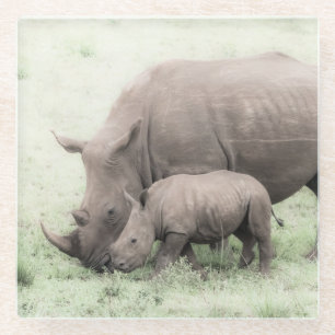 Dessous-de-verre En Verre Dessous de verre blancs en verre de rhinocéros et