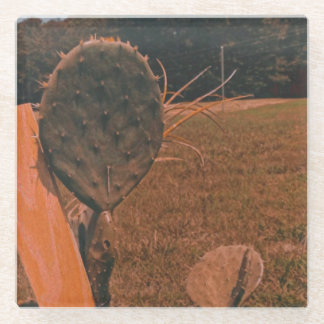 Dessous-de-verre En Verre Dessous de verre en verre de champ Cactus