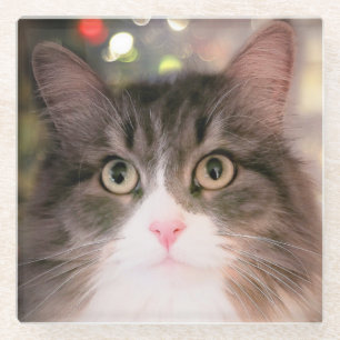 Dessous-de-verre En Verre Dessous de verre en verre de chat de vacances