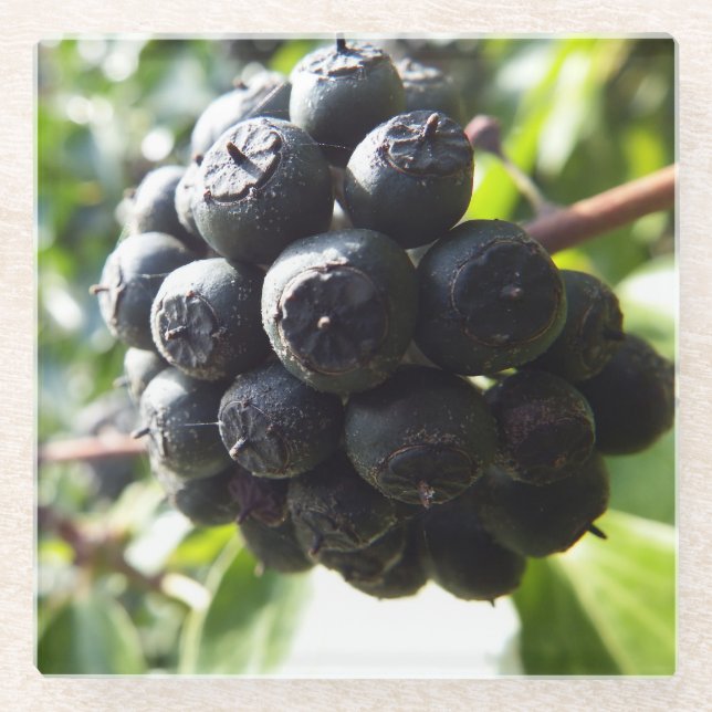 Dessous-de-verre En Verre Dessous de verre en verre Ivy Berries (Devant)