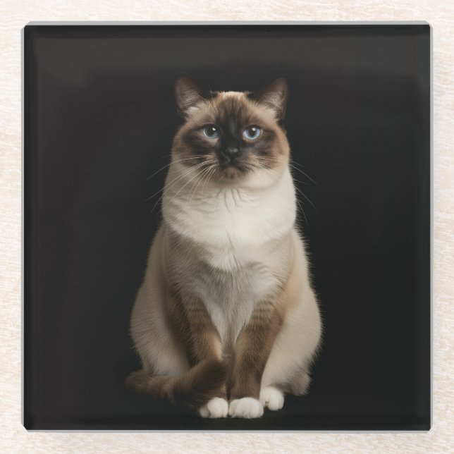 Dessous-de-verre En Verre Dessous de verre en verre luxe noir 4, Chat birman (Devant)