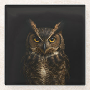 Dessous-de-verre En Verre Dessous de verre en verre Luxe Noir, Hibou aux yeu