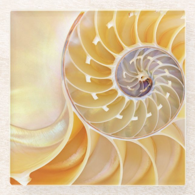 Dessous-de-verre En Verre Dessous de verre en verre Nautilus (Devant)
