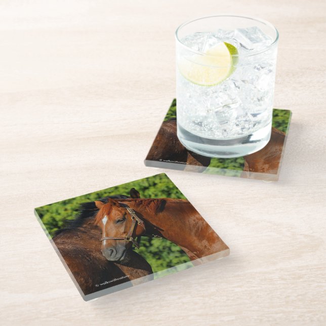 Dessous-de-verre En Verre Deux beaux chevaux de châtaignes au soleil (Incliné)