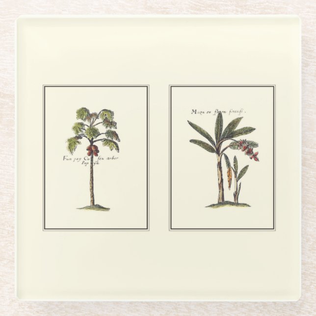 Dessous-de-verre En Verre Deux mini palmiers encadrés (Devant)