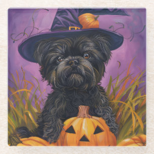 Dessous-de-verre En Verre Éffrayant Affenpinscher Halloween sorcière et Citr