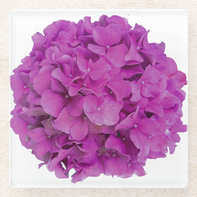 Dessous-de-verre En Verre Elégante magenta rose hydrangée florale roses (Devant)