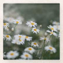 esthétique Daisy & Cottagecore