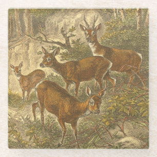 Dessous-de-verre En Verre Famille des oeufs de poisson - cerfs communs dans