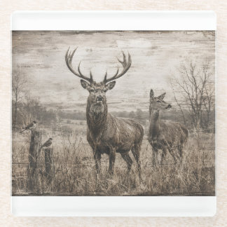 Dessous-de-verre En Verre Faune