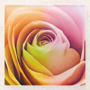 Dessous-de-verre En Verre Fermez-vous des pétales de rose colorés