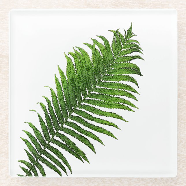 Dessous-de-verre En Verre Fern fronde (Devant)