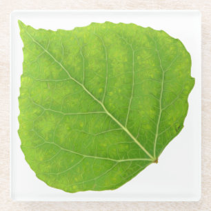 Dessous-de-verre En Verre Feuille d'Aspen vert #11