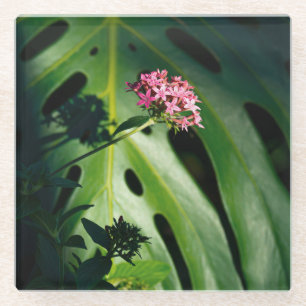 Dessous-de-verre En Verre Feuille tropicale de Monstera, fleur rose botaniqu
