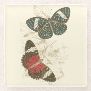 Dessous-de-verre En Verre Feuilles de Sepia avec papillons colorés