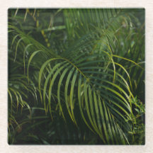 Feuilles tropicales, botanique vert foncé