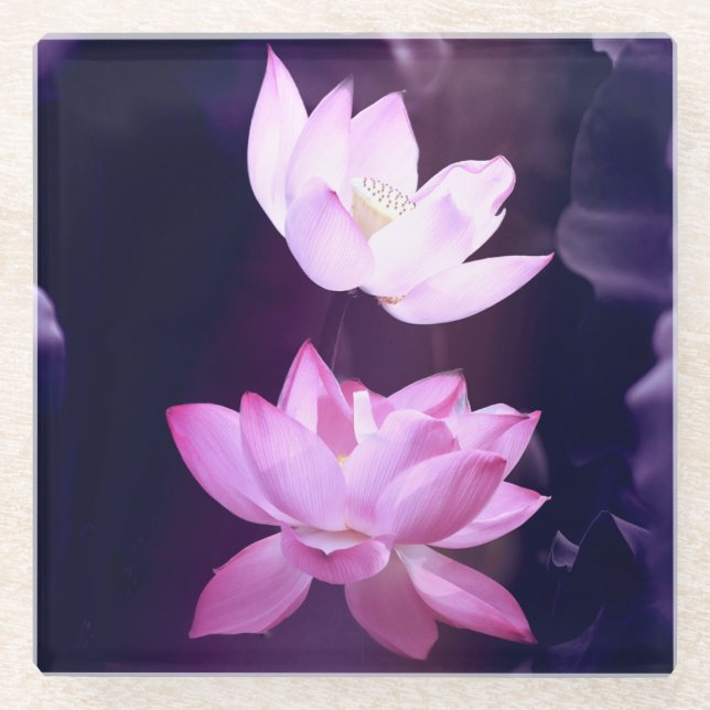 Dessous-de-verre En Verre Fleur de Lotus en fleurs (Devant)