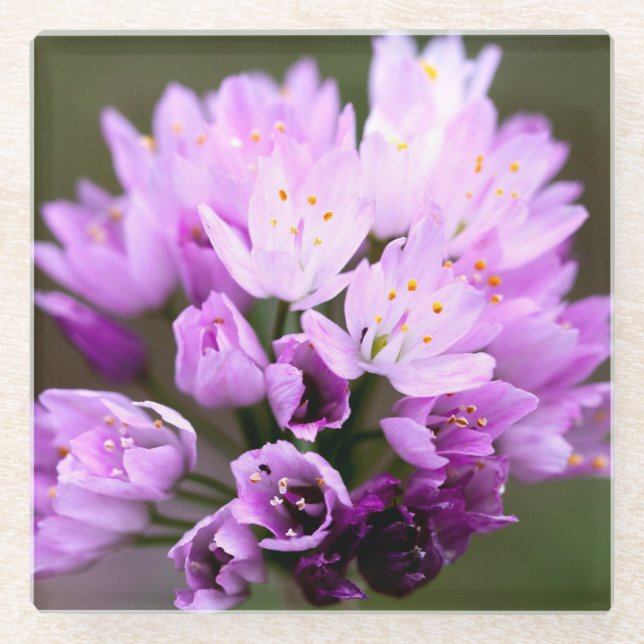 Dessous-de-verre En Verre Fleur sauvage (Devant)