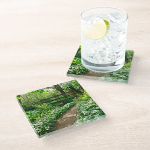 Dessous-de-verre En Verre Fleurs   Fleurs sauvages blancs en forêt