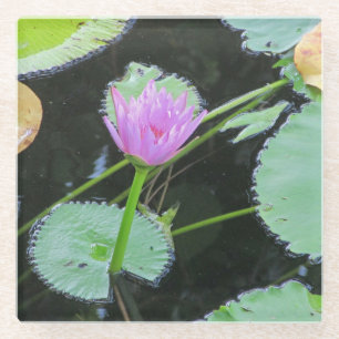 Dessous-de-verre En Verre Floral Elégant Pastel Eau Rose Lily Photo Fleur