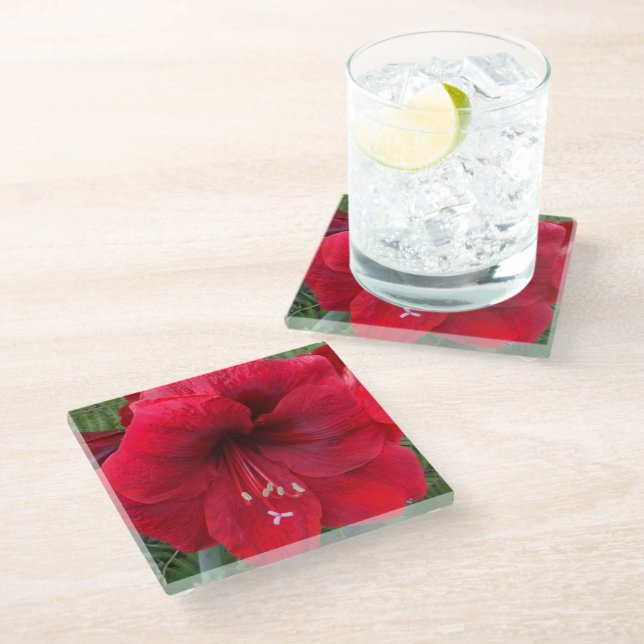 Dessous-de-verre En Verre Flore rouge Amaryllis (Incliné)
