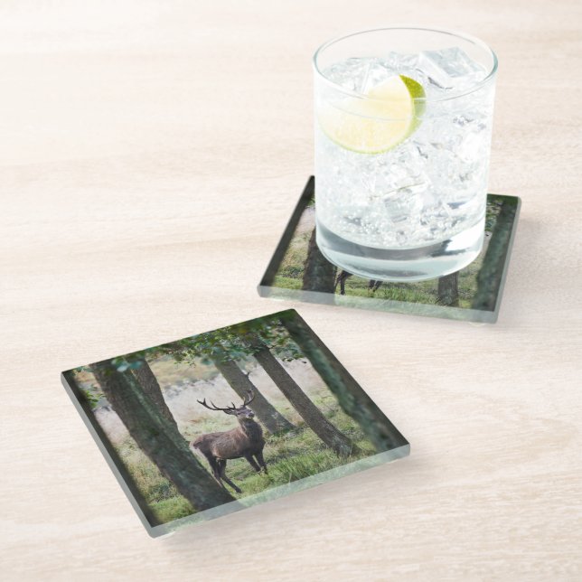 Dessous-de-verre En Verre Forêt | Woodlands & Red Deer (Incliné)