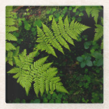 Fougères de forêt sombre, esthétique verte et somb