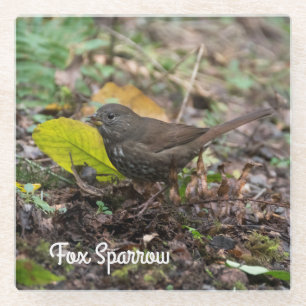 Dessous-de-verre En Verre Fox Sparrow