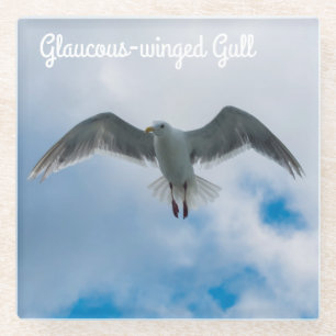 Dessous-de-verre En Verre Goéland à ailes glauques