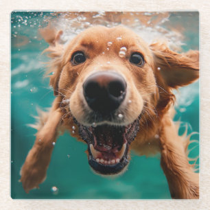 Dessous-de-verre En Verre Golden Retriever heureux nageant sous l'eau