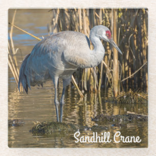 Dessous-de-verre En Verre Graine de Sandhill