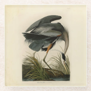 Dessous-de-verre En Verre Grand Héron d'Audubon Marais Oiseau