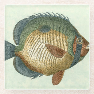 Dessous-de-verre En Verre Grands poissons colorés