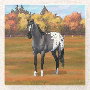 Dessous-de-verre En Verre Gris Grulla Appaloosa Quartier Horse Stallion