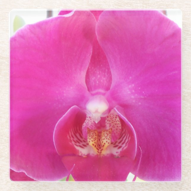 Dessous-de-verre En Verre Guda (Devant)