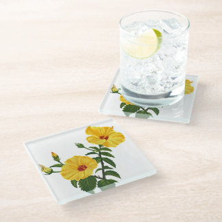 Dessous-de-verre En Verre Hawaiian yellow hibiscus Botanical illustration
