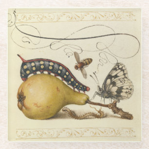 Dessous-de-verre En Verre Hoefnagel Vintage Poire & Insectes 1500 Renaissanc