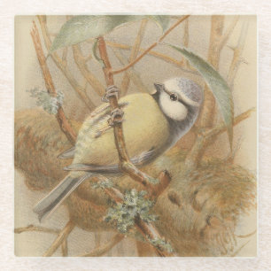 Dessous-de-verre En Verre Illustration vintage de mésange bleue