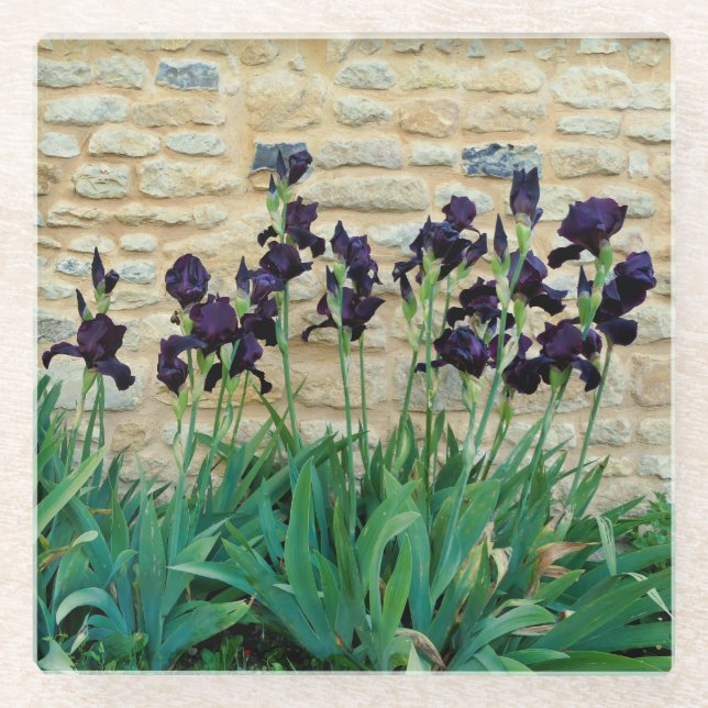 Dessous-de-verre En Verre Iris à poils (Devant)