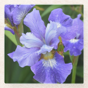 Dessous-de-verre En Verre Iris pourpre
