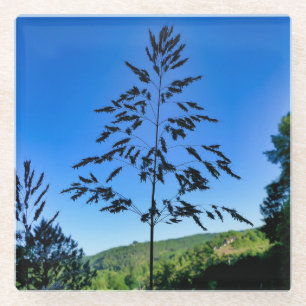 Dessous-de-verre En Verre Johnson Grass