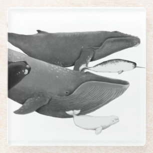 Dessous-de-verre En Verre La Nage Des Baleines Illustration Art Whale Blanc